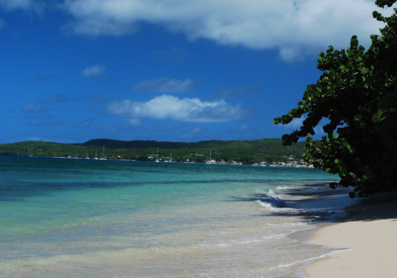 Plage située au nord de l'île au dessus de St Louis.