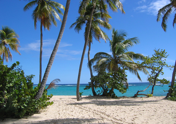 Plage située au nord de l'île.